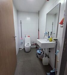 Alkaff Lakeview (D13), Shop House #634985721